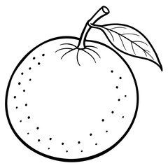 Minimal Clementine Illustration