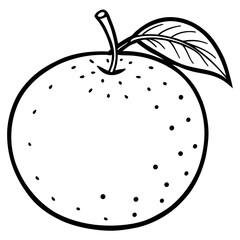 Minimal Clementine Illustration