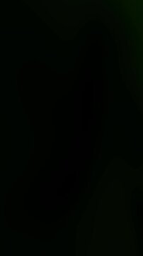 Completely black abstract vertical background suitable for presentations, graphic designs, overlays, and digital art projects needing a sleek minimalist look.