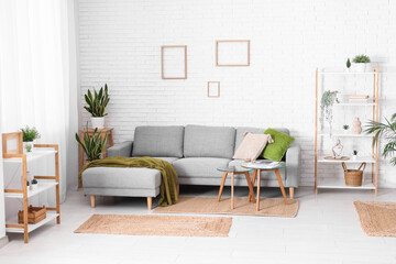 Interior of modern living room with comfortable sofa, houseplant, coffee table and shelving unit