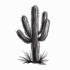 Desert Cactus silhouette vector image isolated on white background