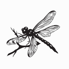 A dragonfly is perched on a branch Silhouette vector on white background.