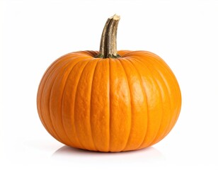 Bright Orange Pumpkin with Natural Texture
