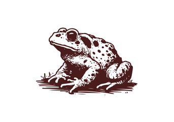 Toad Hand Drawn Natural Illustration Vector Isolated by AZ for Books, Arts, Design and Decoration Graphic Asset
