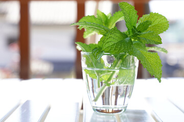 Peppermint branch in a cup of water on white table.