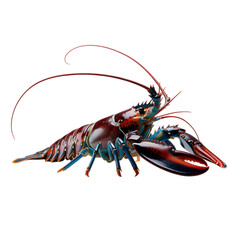 A majestic lobster a deep sea treasure ready for cooking stands out on transparent background