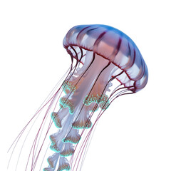 An ethereal jellyfish gracefully dancing in the deep ocean twilight a on transparent background © Sultan