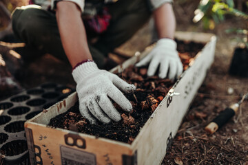 Gardeners use their hands to spread the soil in long pots to prepare for planting.