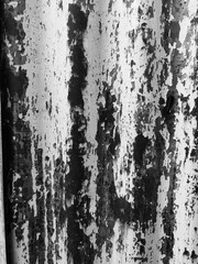Black and White of Zinc Wall. Rusty Zinc Texture. Perfect for Background