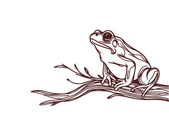 Toad Line Art Hand Drawn Vector Isolated by AZ for Books, Arts, Design and Decoration Graphic Asset