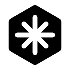 Fototapeta premium North Star Icon