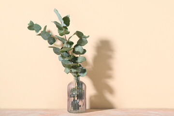 Glass vase with green eucalyptus branches on beige background