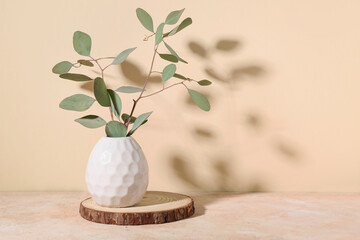 Vase with green eucalyptus branches on beige background