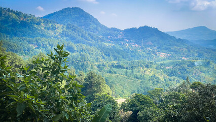 selective focus on the scenery of the green hills in the sentul region of Bogor