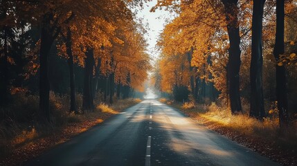 Obraz premium Autumnal road through golden trees