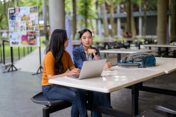 Two female students studying together using laptop and talking at university campus