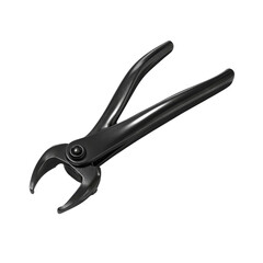 Obraz premium Black Precision Pliers for Jewelry Making and Crafts