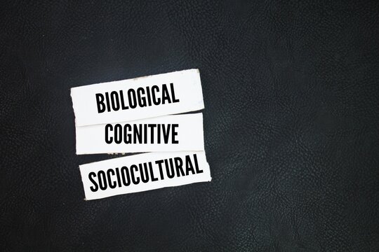 What are the 3 levels of psychology? biological, cognitive, and sociocultural. The Levels of Analysis, often abbreviated to LOA, are the various ways of observation in psychology.