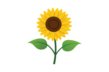 Obraz premium sunflower with leaf vector illustration isolated on white background