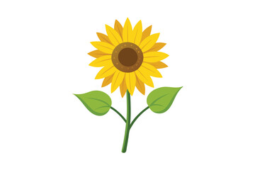 Fototapeta premium sunflower with leaf vector illustration isolated on white background
