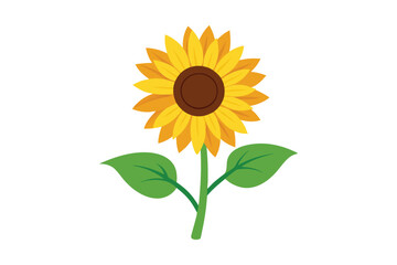 Obraz premium sunflower isolated on white background