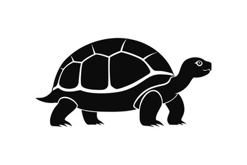 Silhouette of tortoises isolated on a white background