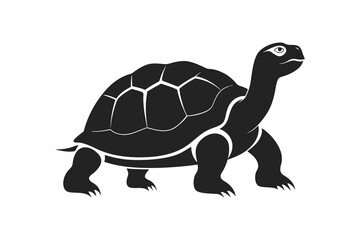 A tortoise icon silhouette vector with white background