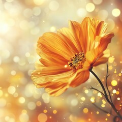 A single, vibrant orange cosmos flower blossoms against a bokeh background of warm gold and beige lights