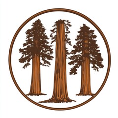 Three redwood trees, tall and majestic, encircled by a rustic brown frame, rendered in a vintage, woodcut style