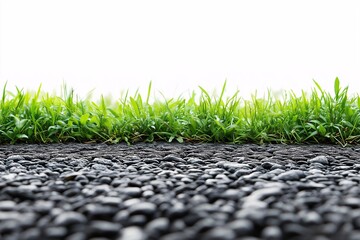 Eco-Friendly Lawn Care and Landscape Design. Exploring Ground Cover, Greenery, and Natural Beauty in Sustainable Urban Green Spaces