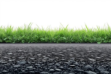 Vivid Nature and Asphalt Contrast - Peaceful Countryside Roadside Landscape Photography