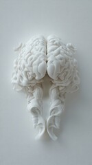 A meticulously detailed, off-white sculpted brain, presented in a symmetrical, frontal view against a stark white background, showcasing intricate convolutions and elongated, swirling stems