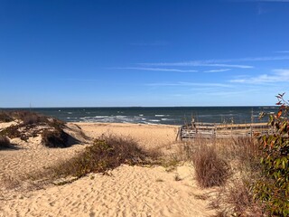 sand dunes and beach