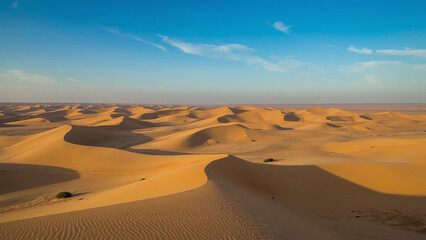 Expansive Desert Landscape