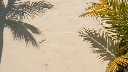 Palm fronds and shadows cast on a tan wall creating a tropical aesthetic background image