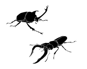 カブトムシとクワガタムシのリアルな白黒イラストセット（白フチあり）