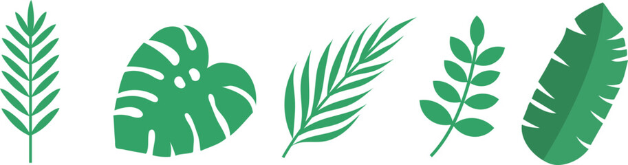 여름식물 벡터 일러스트 그래픽 