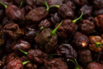 Trinidad Scorpion chocolate, the second hottest chili in the world