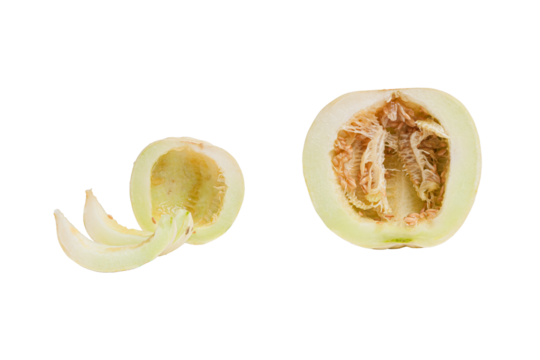 A peeled honeydew melon with slices elegantly arranged, showcasing juicy texture with translated background. It ideal for use in food ads, product packaging, or healthy recipe content.