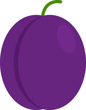 Pulm fruit
