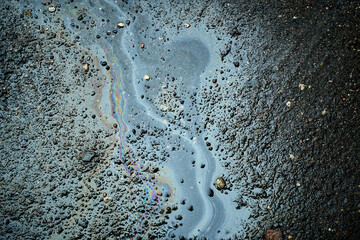 Gasoline or oil spill creating rainbow sheen on wet asphalt surface.