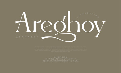 Modern elegant serif font with artistic strokes, perfect for fashion, branding, and editorial design