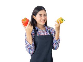 Young Asian woman wearing apron holding red and yellow bell peppers, smiling and posing isolated on a transparent background, concept of healthy food, organic vegetables, and farming lifestyle