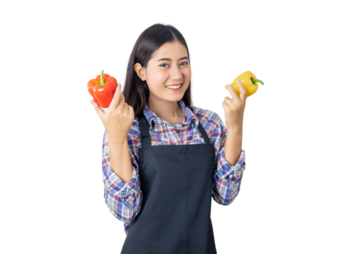 Young Asian woman wearing apron holding red and yellow bell peppers, smiling and posing isolated on a transparent background, concept of healthy food, organic vegetables, and farming lifestyle