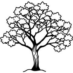 Simple Sakura Blossom Tree Vector on White