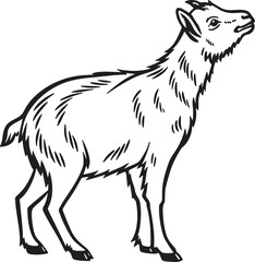 Hand Drawn Farm Animal Silhouette with Rustic Feel