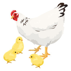PNG mother hen and baby chicks illustration, sticker in transparent background
