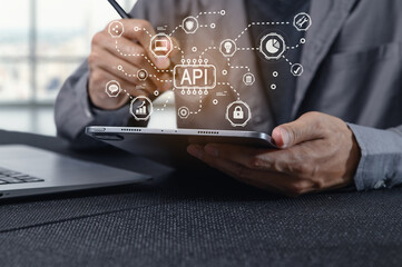Programming Interface Development Concept with API Visualization