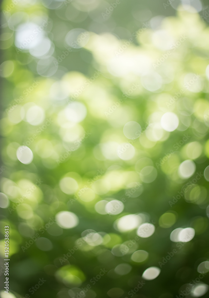 Poster green bokeh background: abstract image of blurry green foliage, creating a soft, dreamy bokeh effect