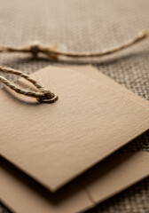 Kraft Tags with Jute Twine: Close-up of two blank kraft paper tags tied together with natural jute twine, showcasing a rustic and minimalist aesthetic. perfect for adding your own branding or message.